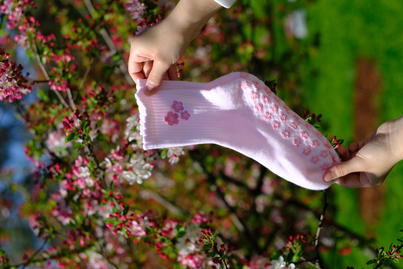 Blooming Sakura grip sock with embroidered blossoms and flower-shaped grip, held in front of blossom